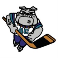 Atlantic City Boardwalk Bullies