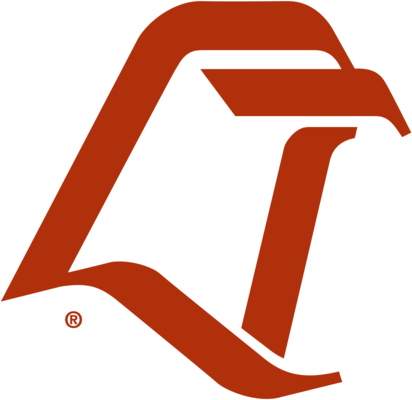 Bowling Green Falcons