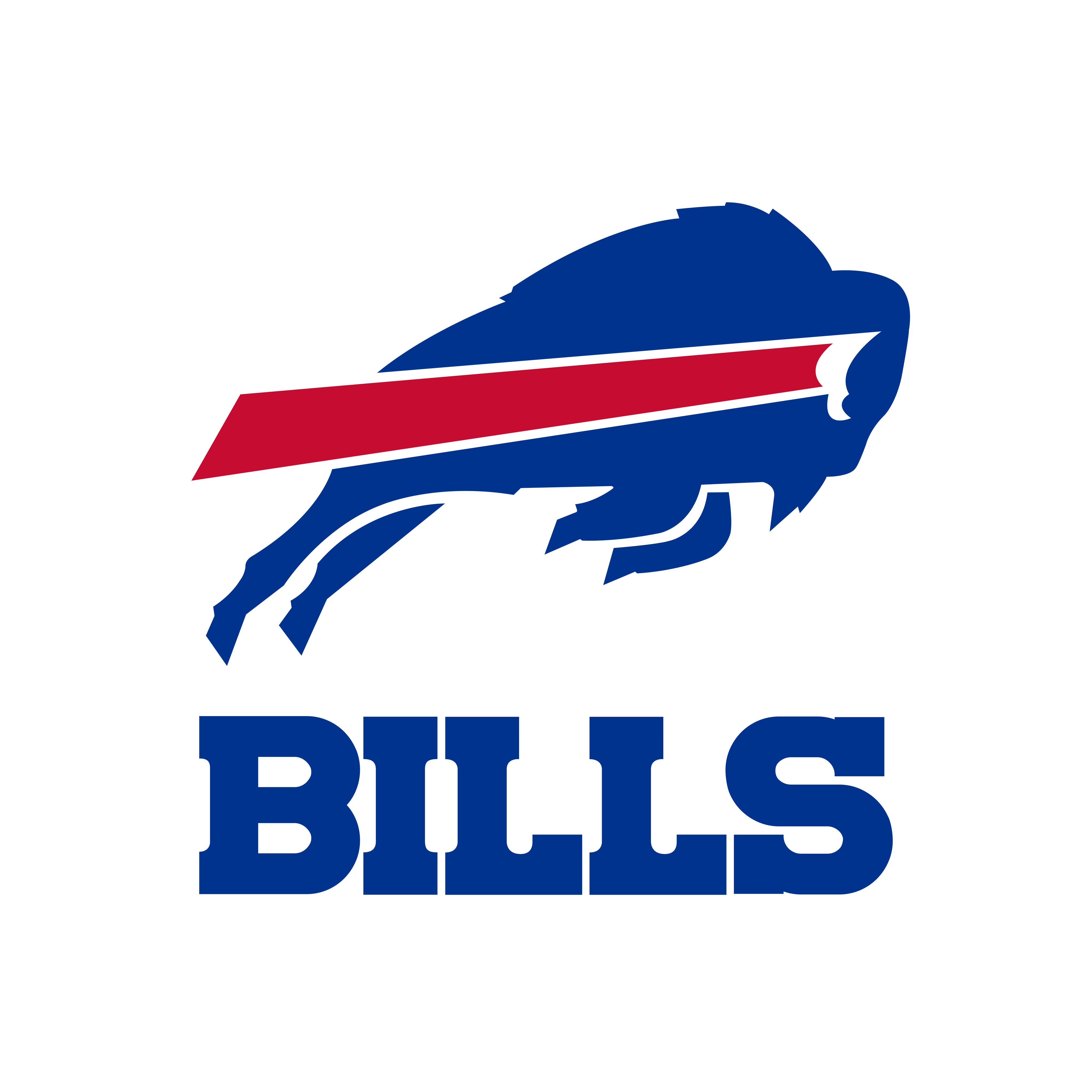 Buffalo Bills