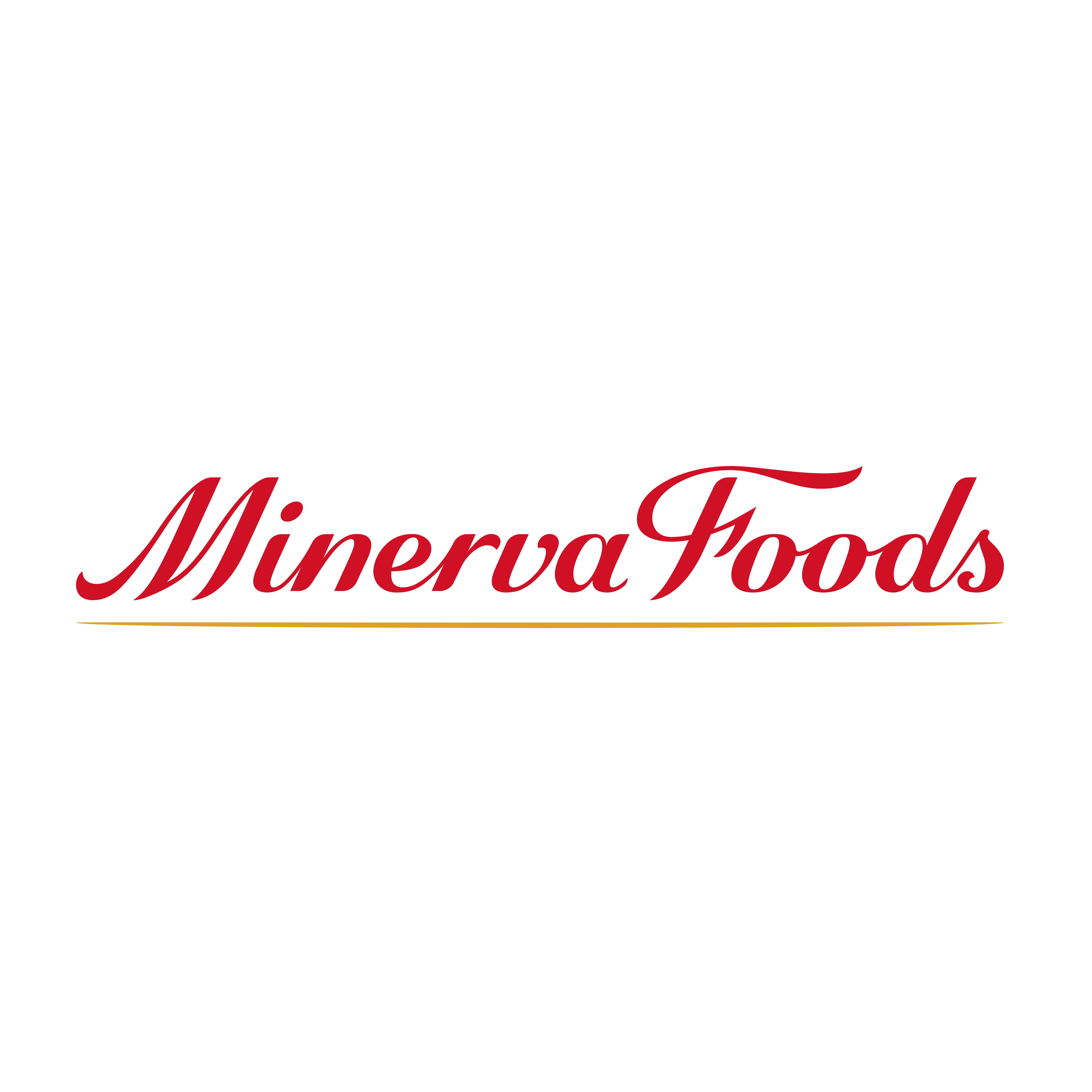Minerva Foods
