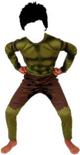 Costume Hulk