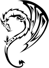 Dragon Tattoo Curved