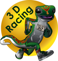 3D Racing