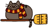Pusheen Harry Potter