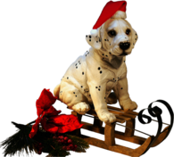 Christmas Dog on A Sledge