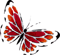 Aquarel Butterfly Tattoo