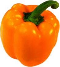 Yellow Bell Pepper