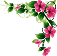 Flowers Corner Frame