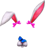 Snapchat Filter Bunny Fold