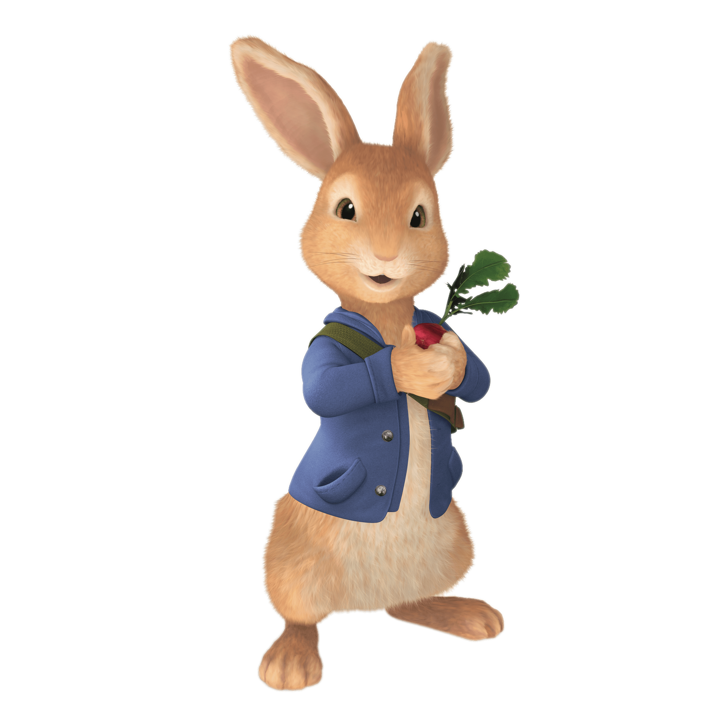 Peter Rabbit Holding Radish
