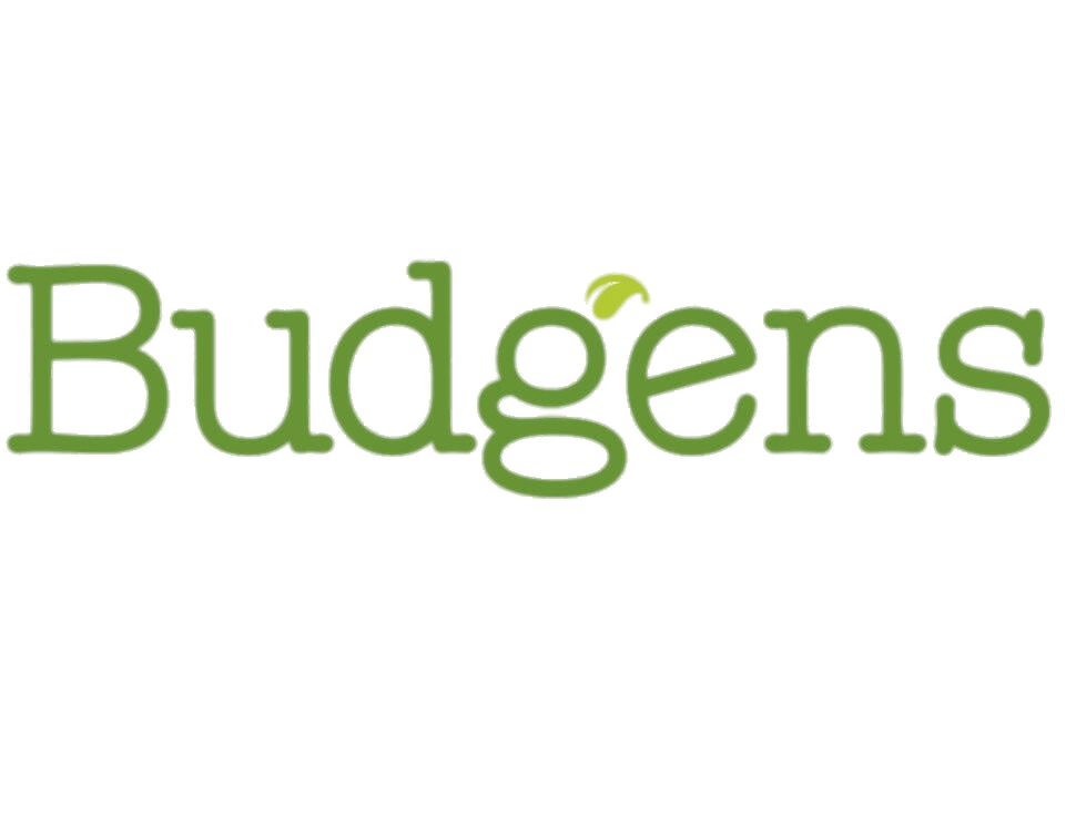 Budgens 