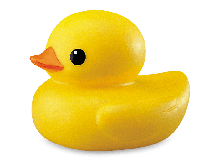Plastic Duck