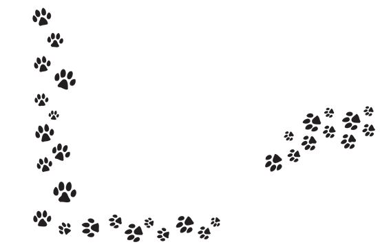 Series Of Paw Prints