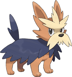 Herdier Pokemon