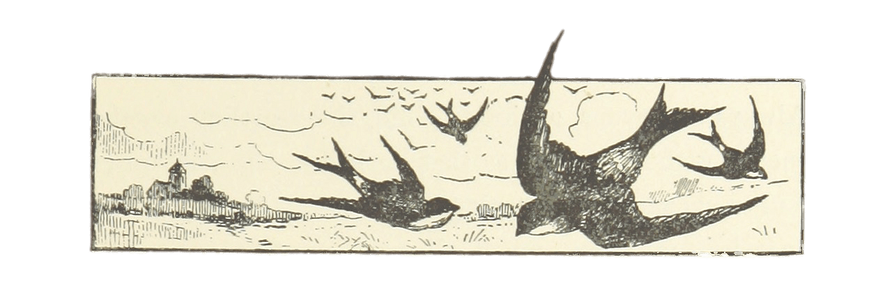 Birds Banner Decoration Village In The Background