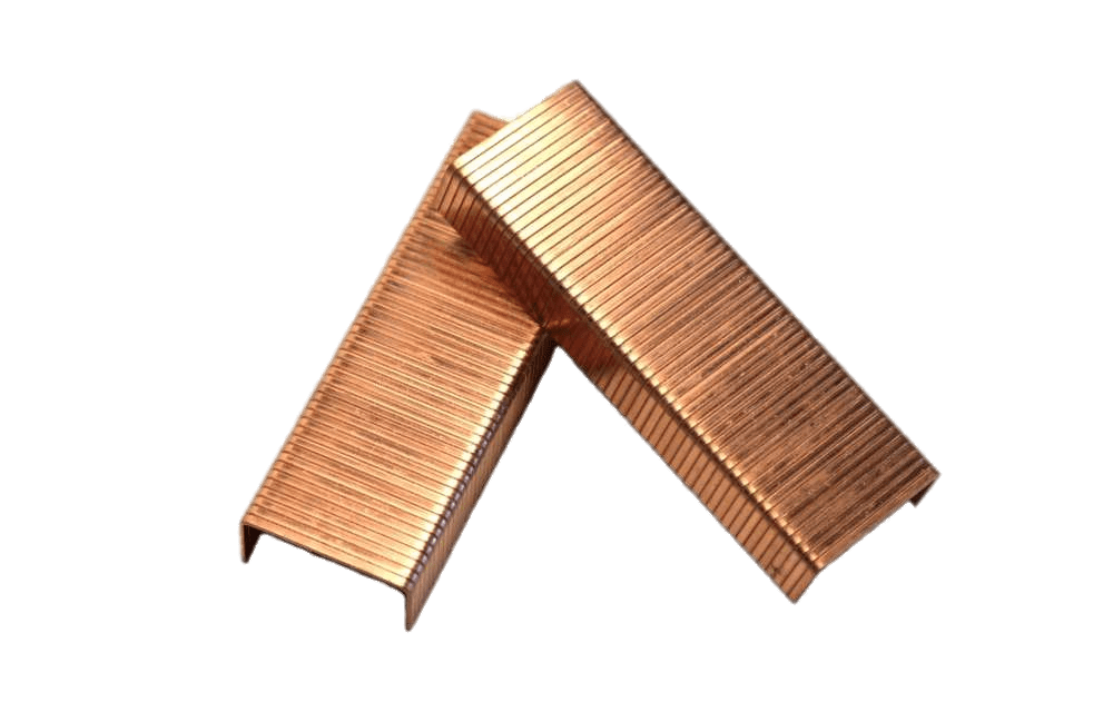 Two Rows Of Carton Staples