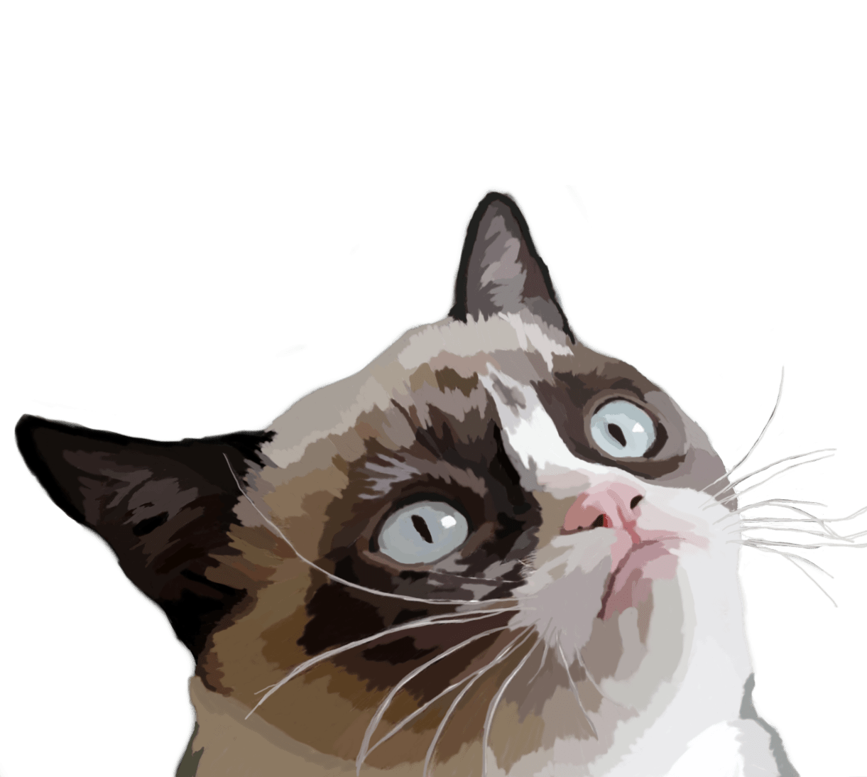 Grumpy Cat Vector Illustration