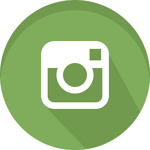 Instagram Green Round Icon