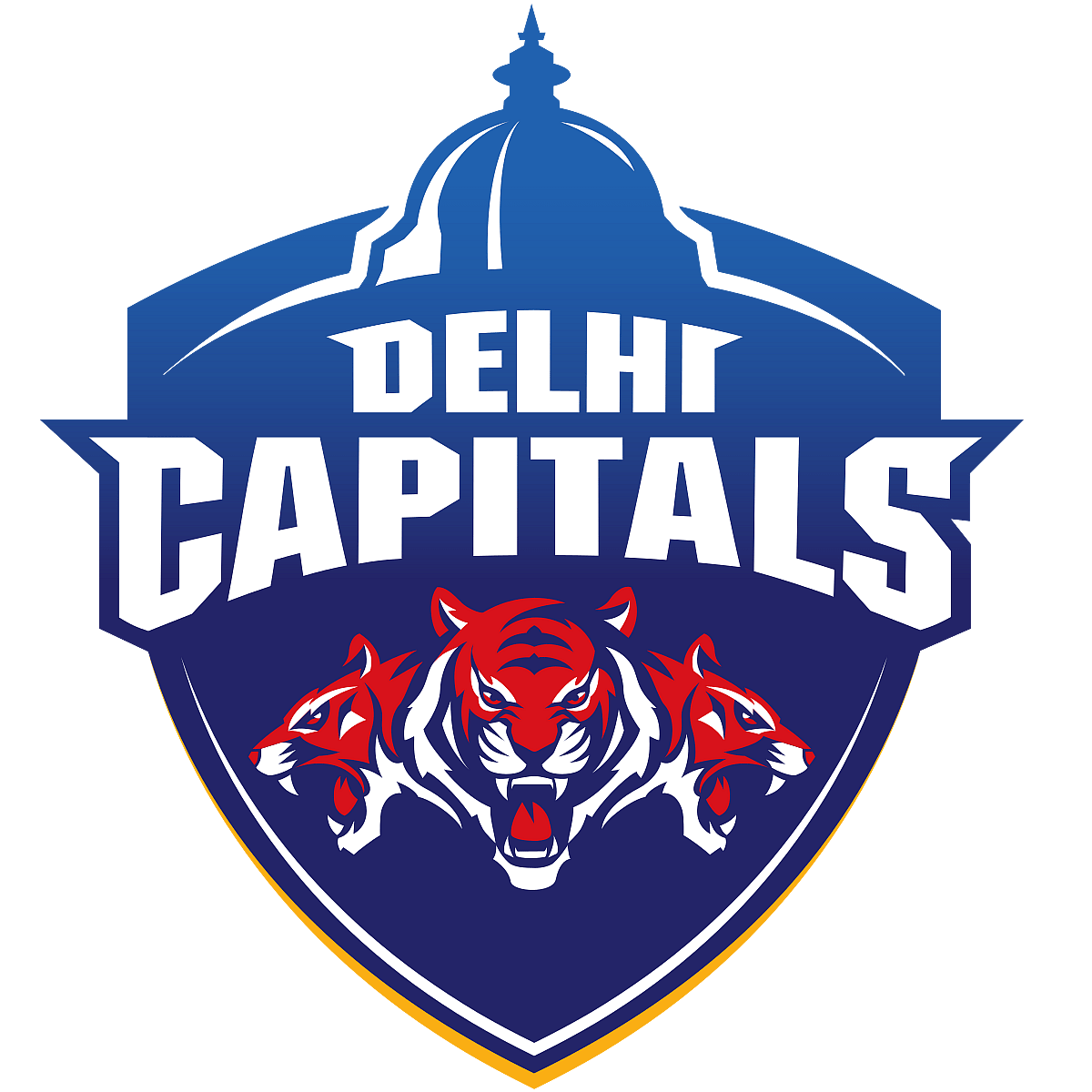 Delhi Capitals 