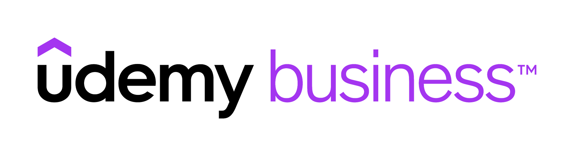 Udemy Business 