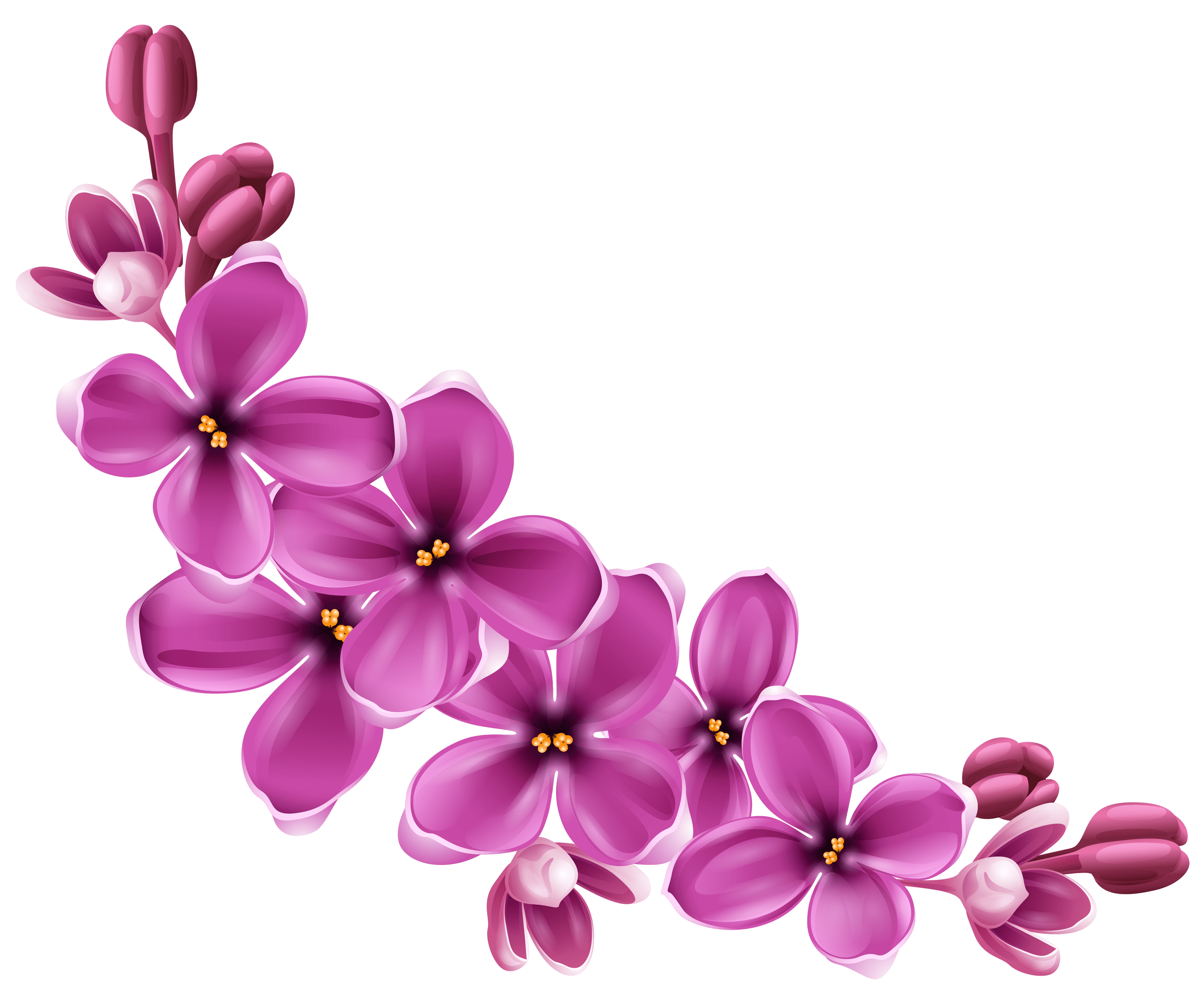 Flowers Purple Curve