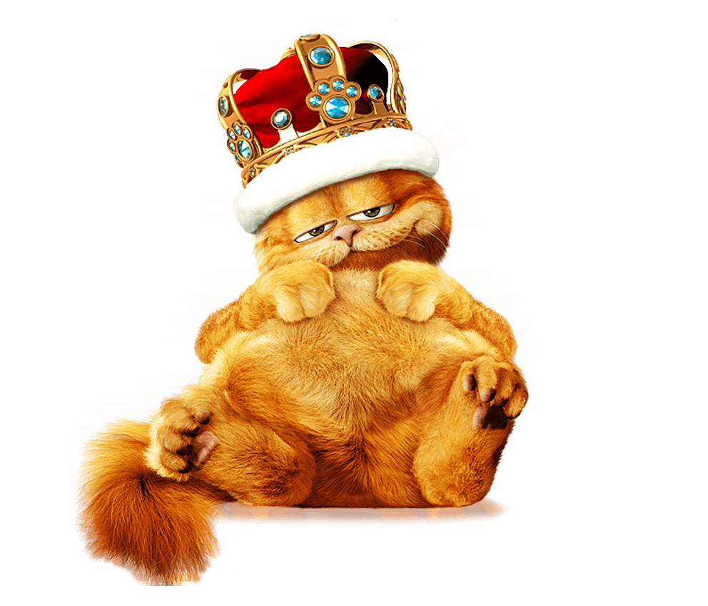 Garfield King