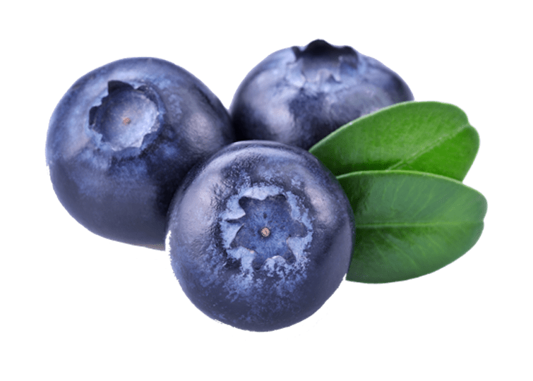 Three Blueberries