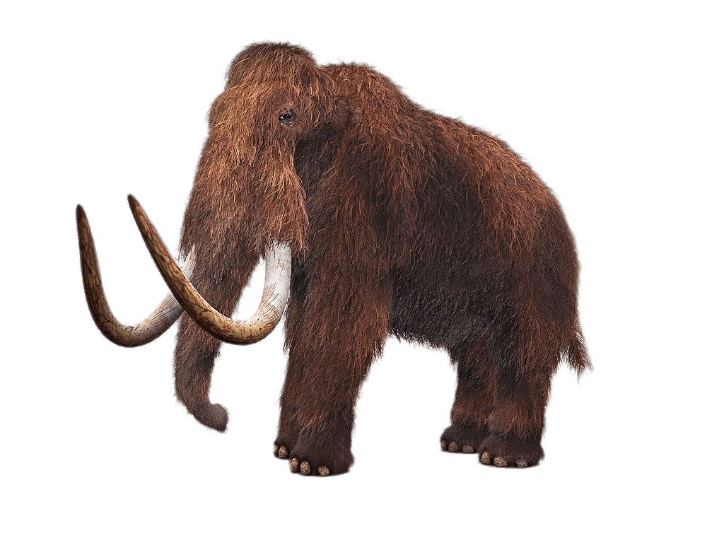 Wooly Mammoth