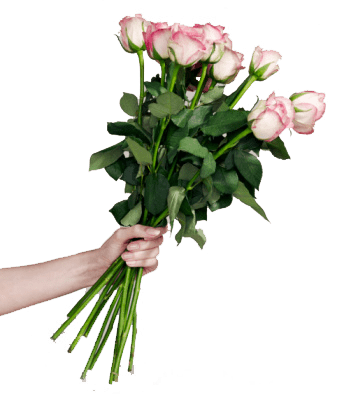 Bouquet Of Rose Flowers