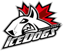 Mississauga IceDogs 