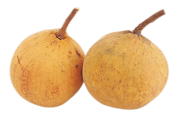 Whole Santol Fruit