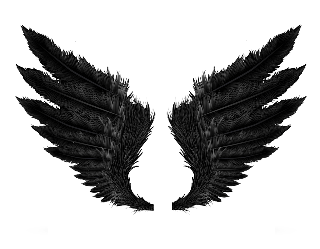 Black Angel Wings