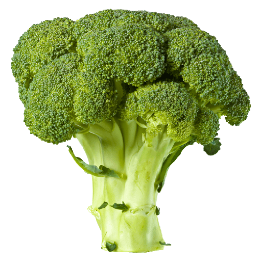 Broccoli Tree