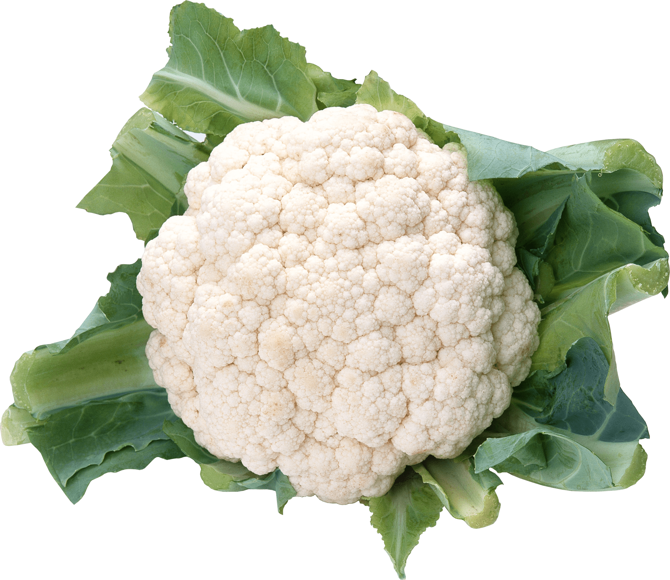 Cauliflower Small