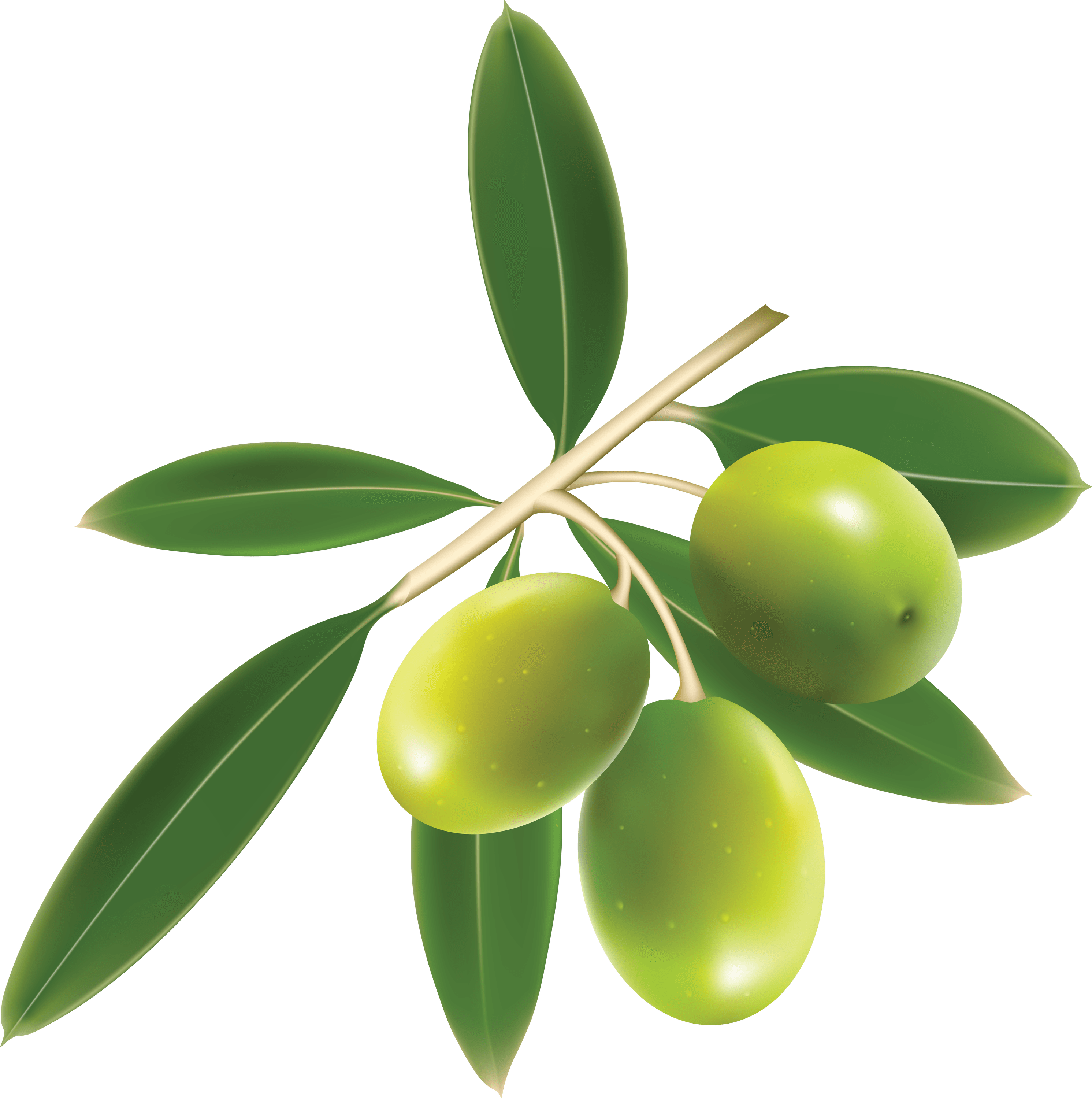 Green Olives Trio