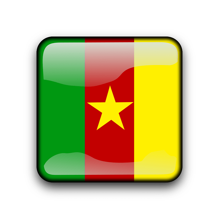 Cameroon Flag Icon