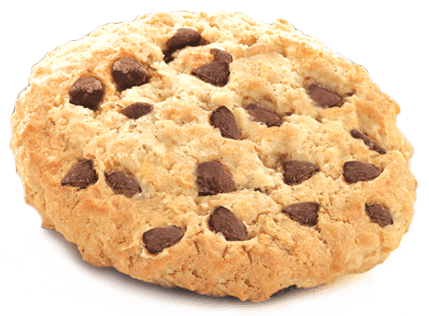 Biscuit Cookie Large