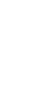 Tumblr Small t White