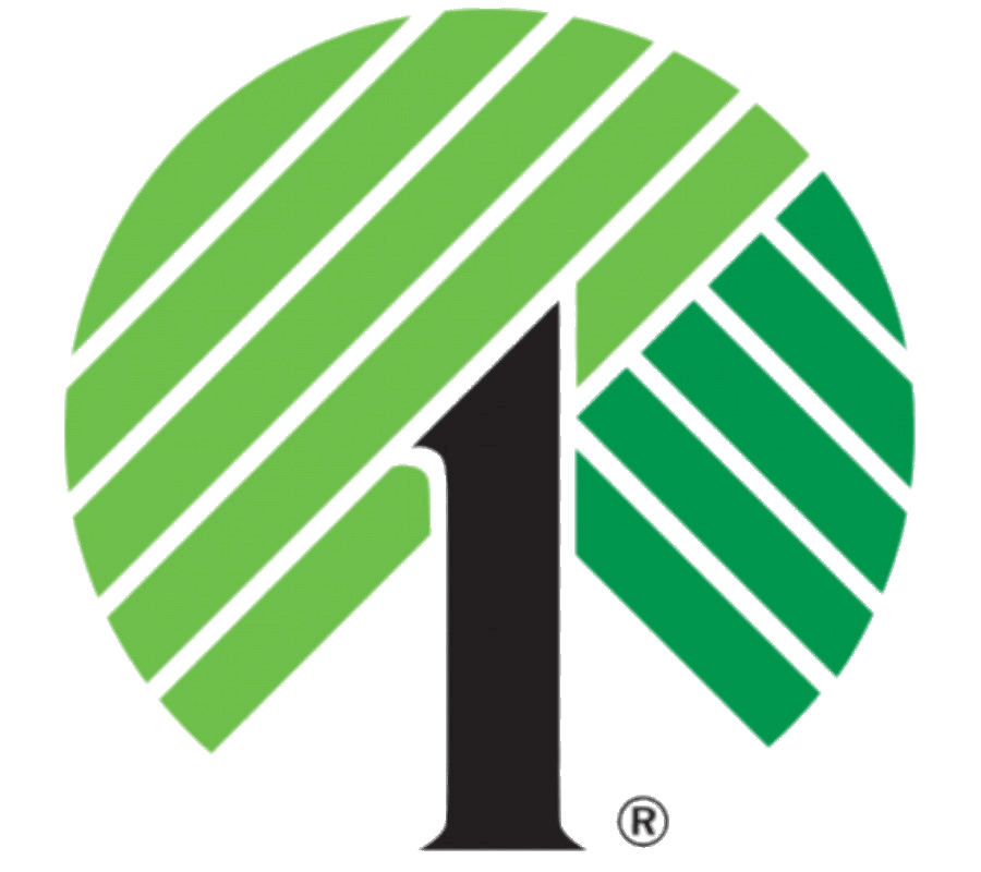 Dollar Tree Thumbnail