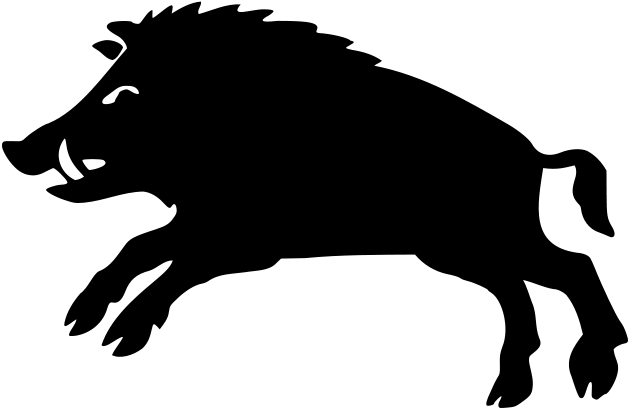 Boar Black and White