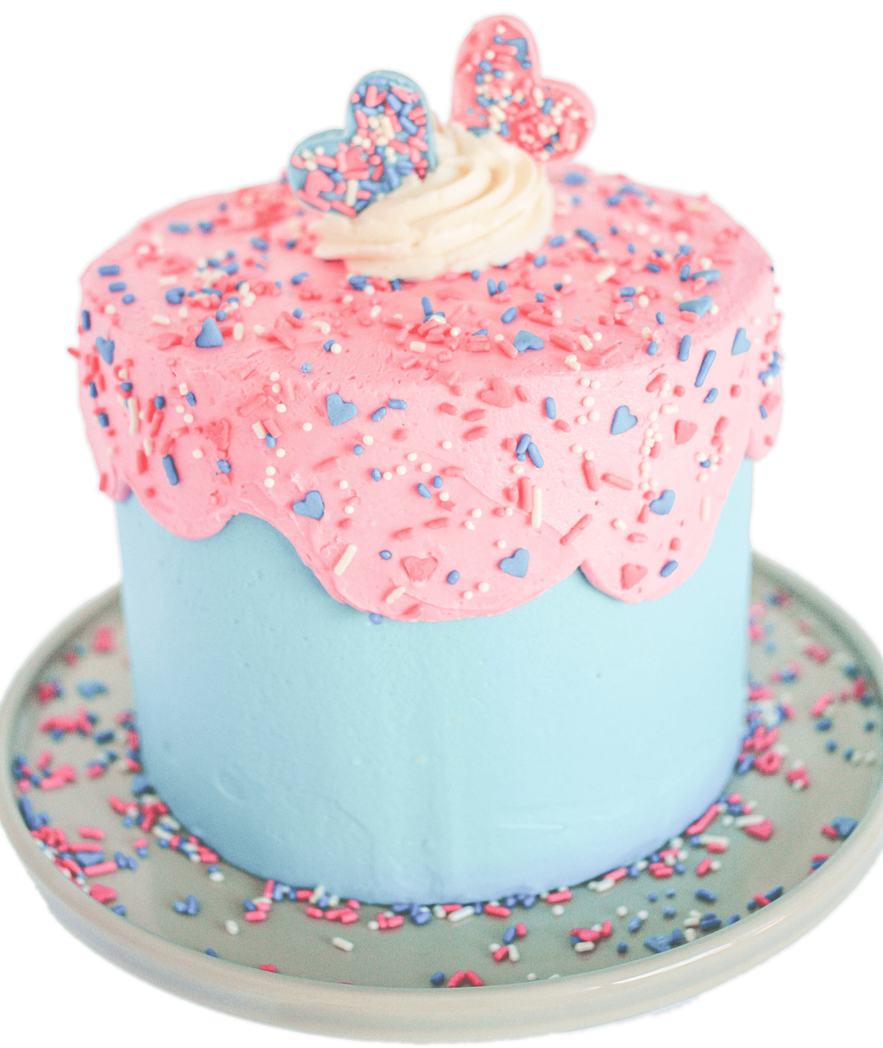 Gender Reveal Cake Sprinkles
