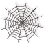 Symmetrical Shaded Spider Web