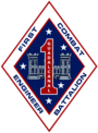 1st Combat Engineer Battalion USMC