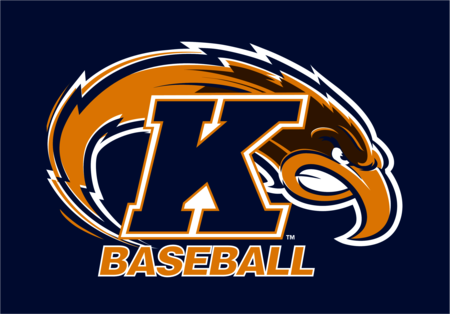 Kent State University Baseball