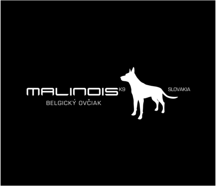 Malinois Belgium Dog