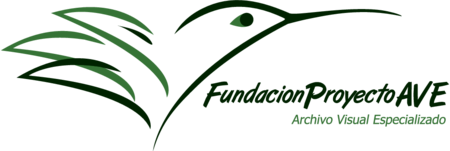 Fundación Proyecto AVE