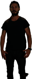 Shia LaBeouf Pose
