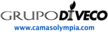 Grupo Diveco
