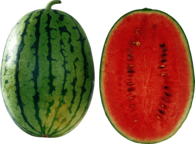 Open Watermelon