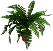 Artificial Fern